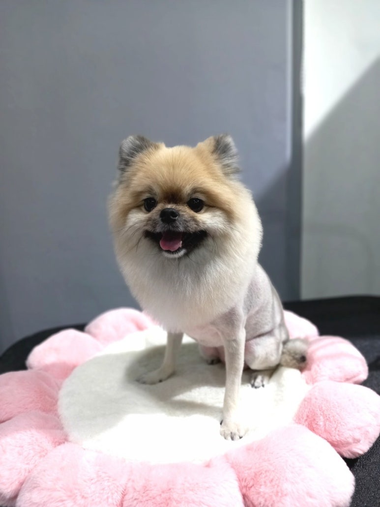 살롱3039 이미지