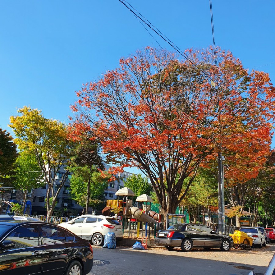 달달 토스트 이미지