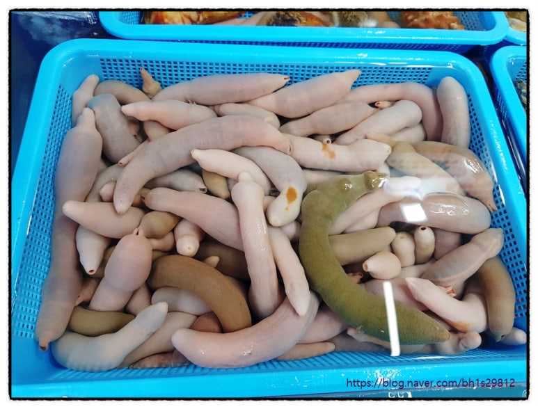 어부와나루터 이미지