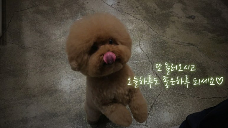빚은대구청구성조점 이미지