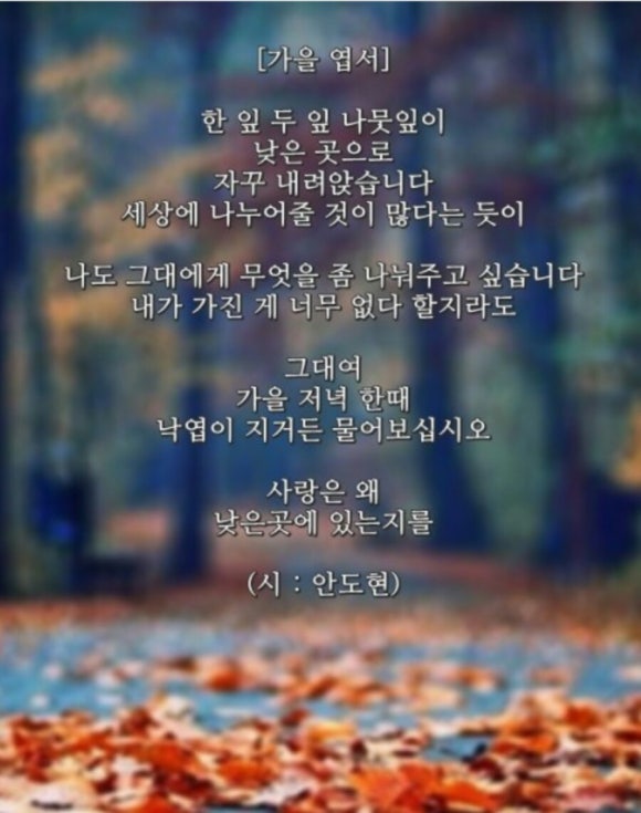 우리들의정다운이야기 이미지