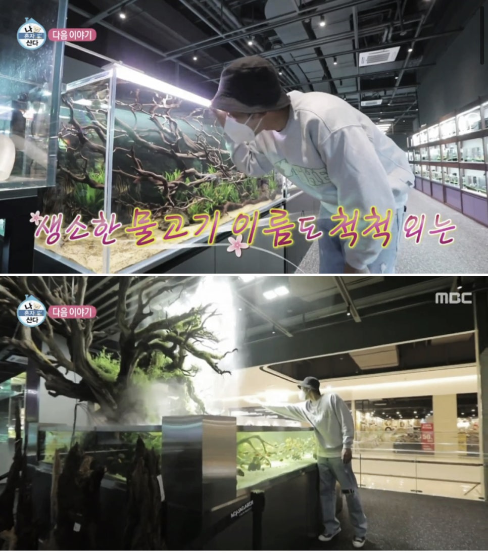 (주)보고아쿠아 이미지