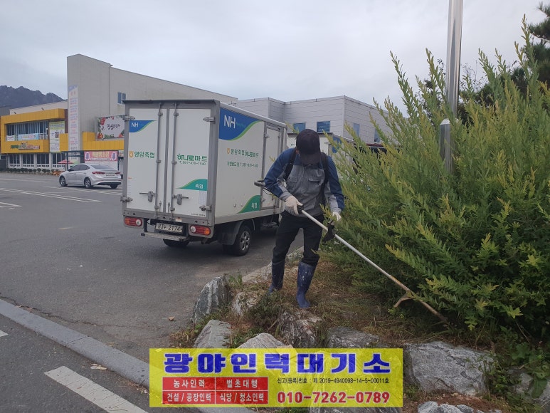 영암축협하나로마트 이미지