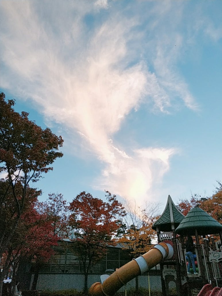 성환상회 이미지