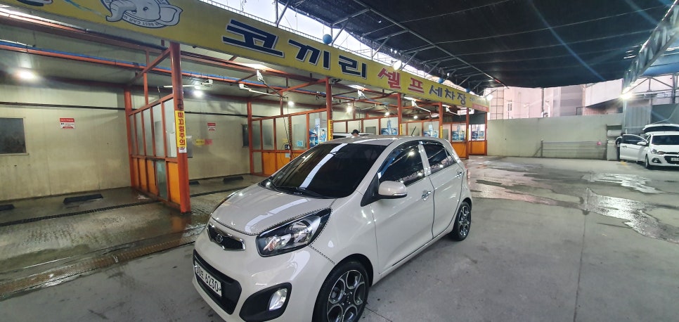 코끼리손세차 이미지