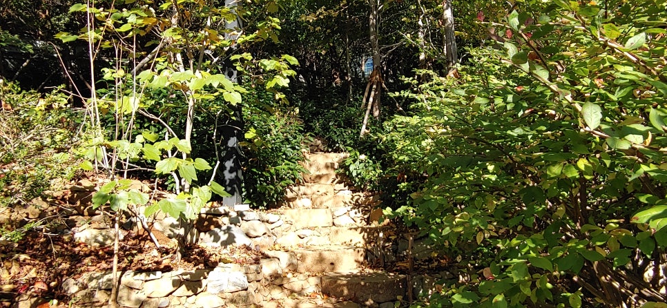 뮤지엄엔카페테리아 이미지