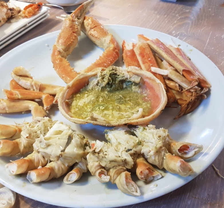 바다회 이미지