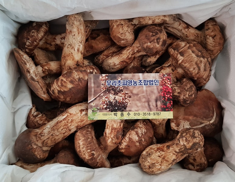 맛고을풍천장어 이미지