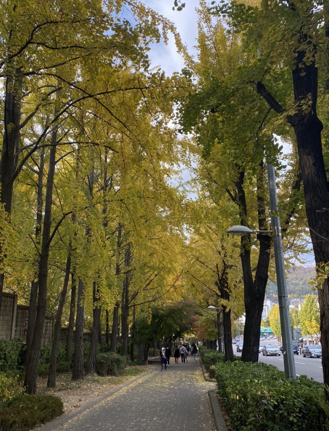 청춘하우스 이미지