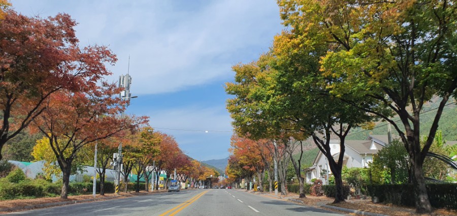 서촌92육칼 이미지