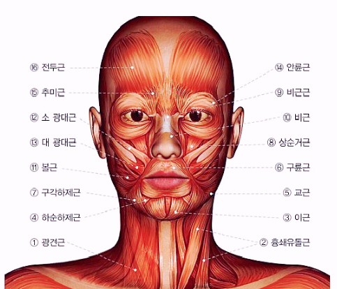 미가랑 이미지