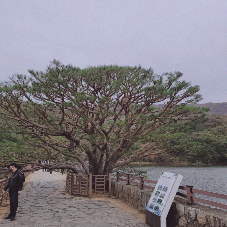증산셀프세차장 이미지