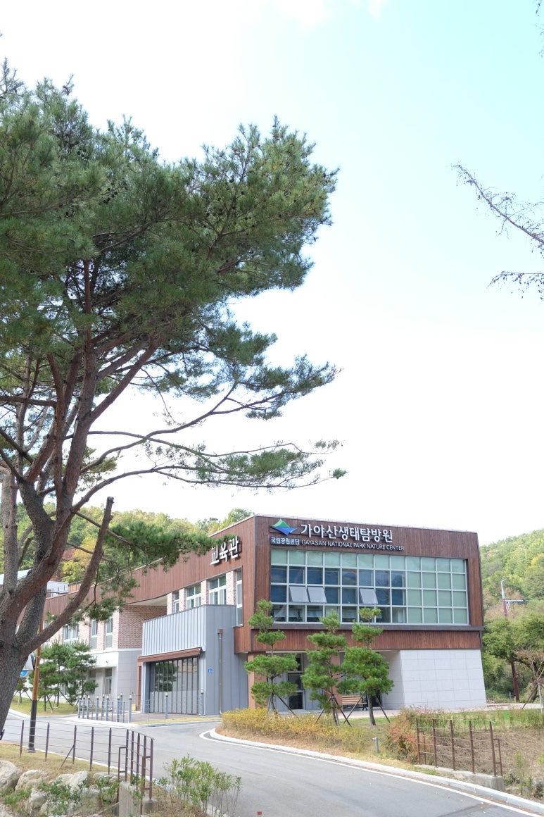 스토리움 이미지