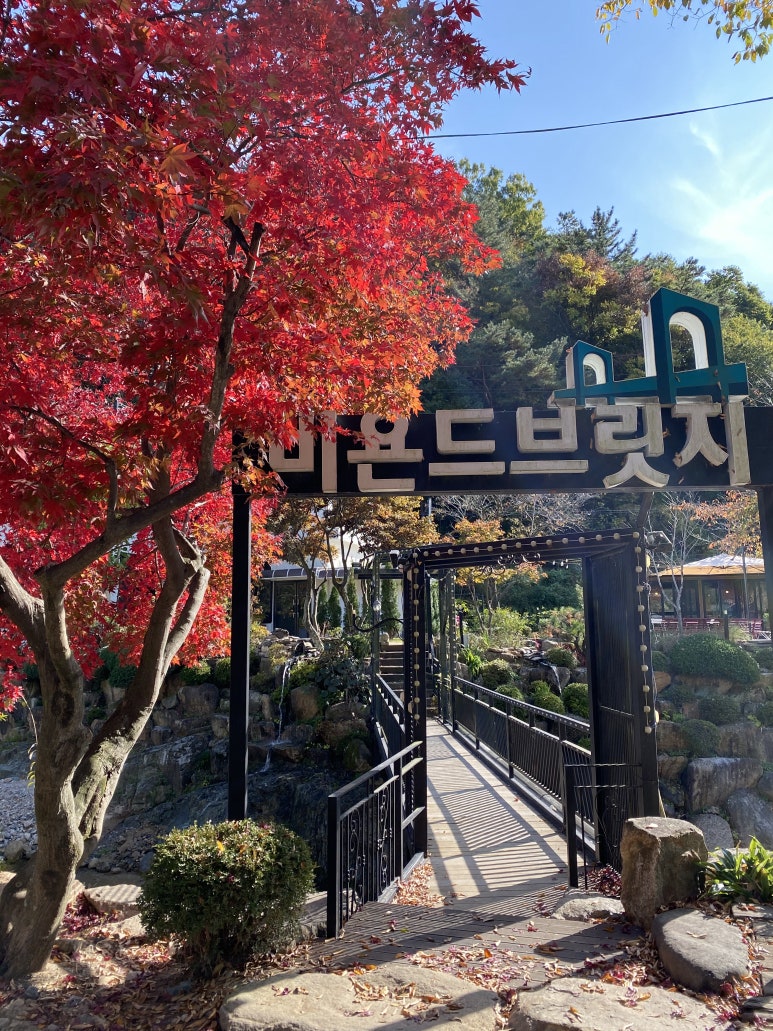 비욘드브릿지 이미지