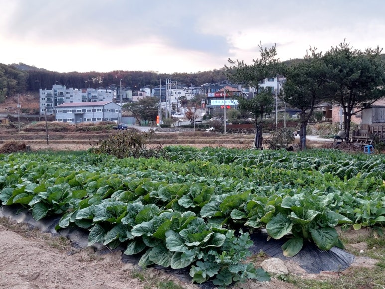 고향집한식부페 이미지
