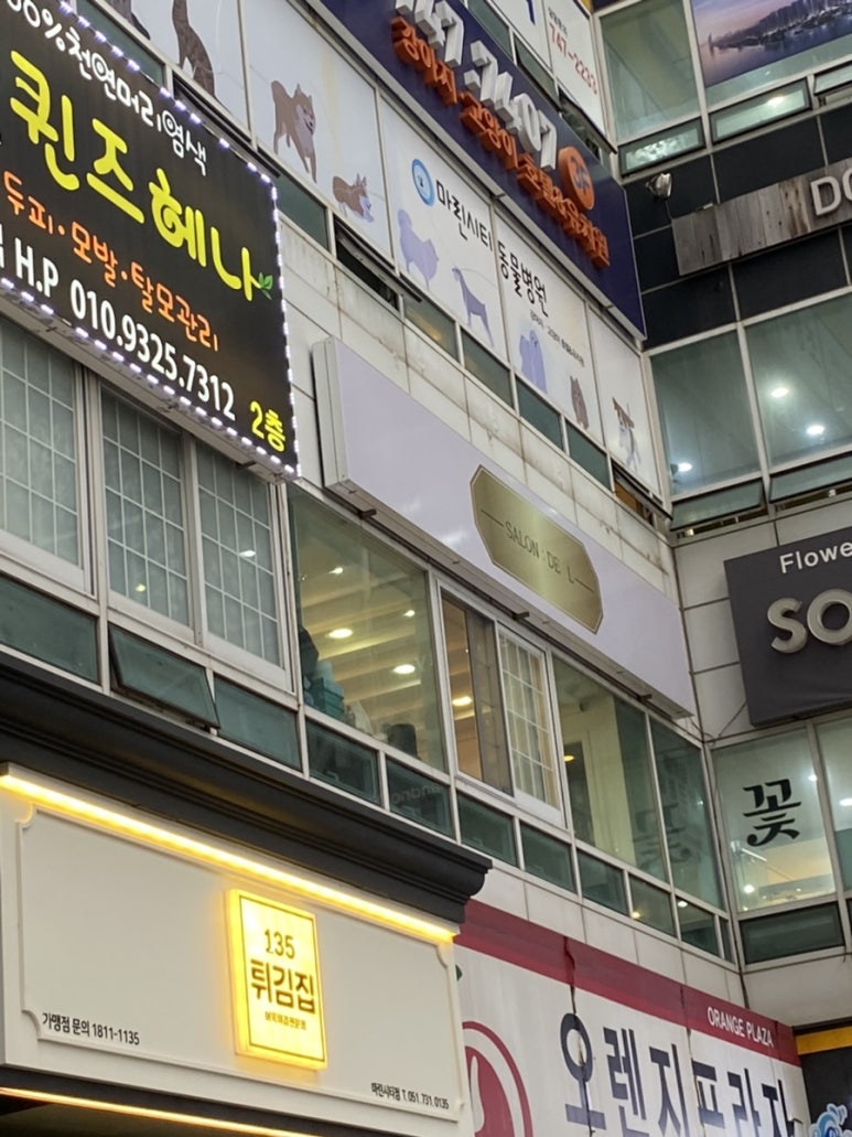 살롱드엘 이미지