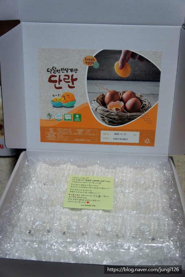 네이처킹덤 이미지