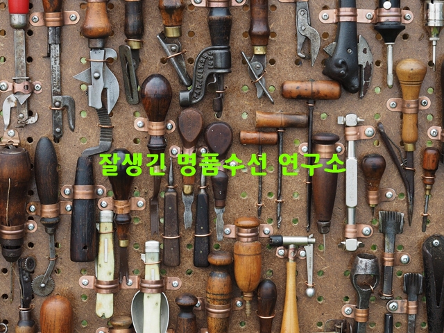양동수선 이미지