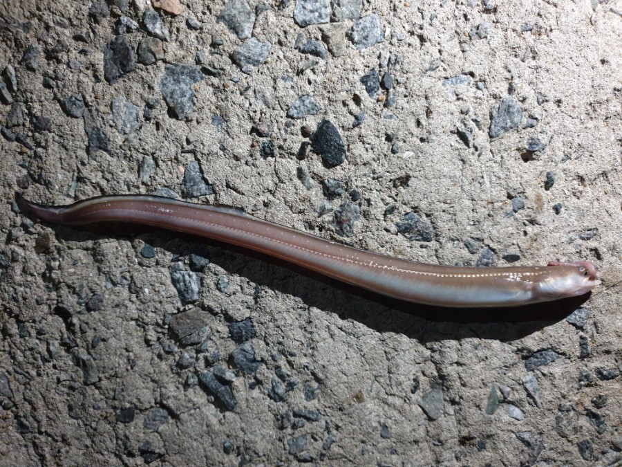 축항펜션 이미지