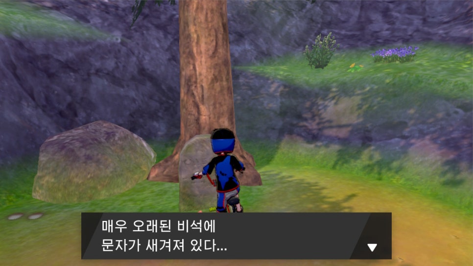올리브스토리 이미지