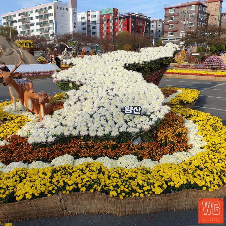 국화네공방 이미지