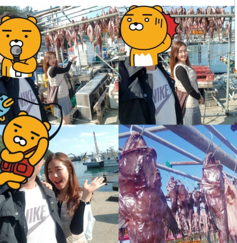 외포11번가횟집 이미지