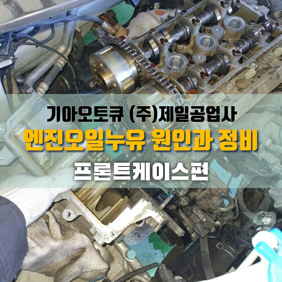 제일정비주 이미지