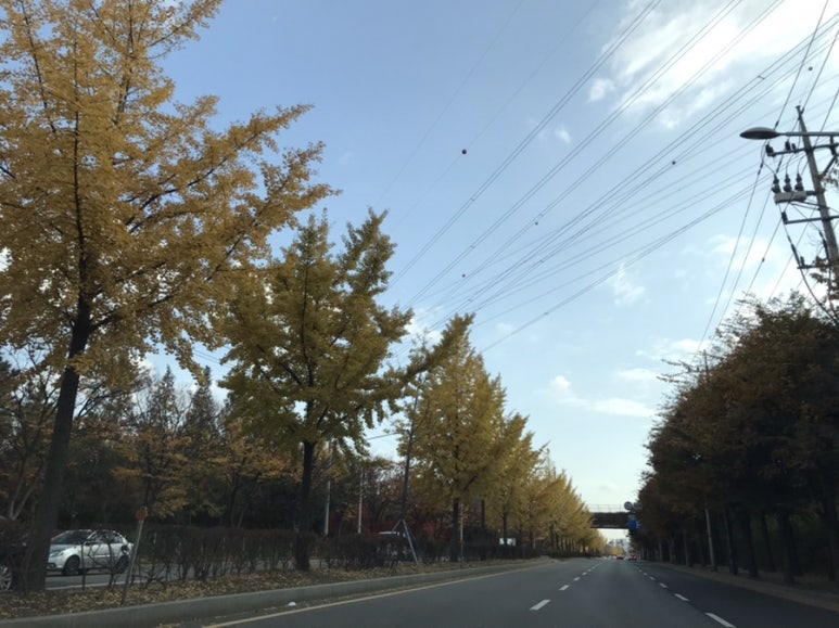 공원앞종합어시장 이미지