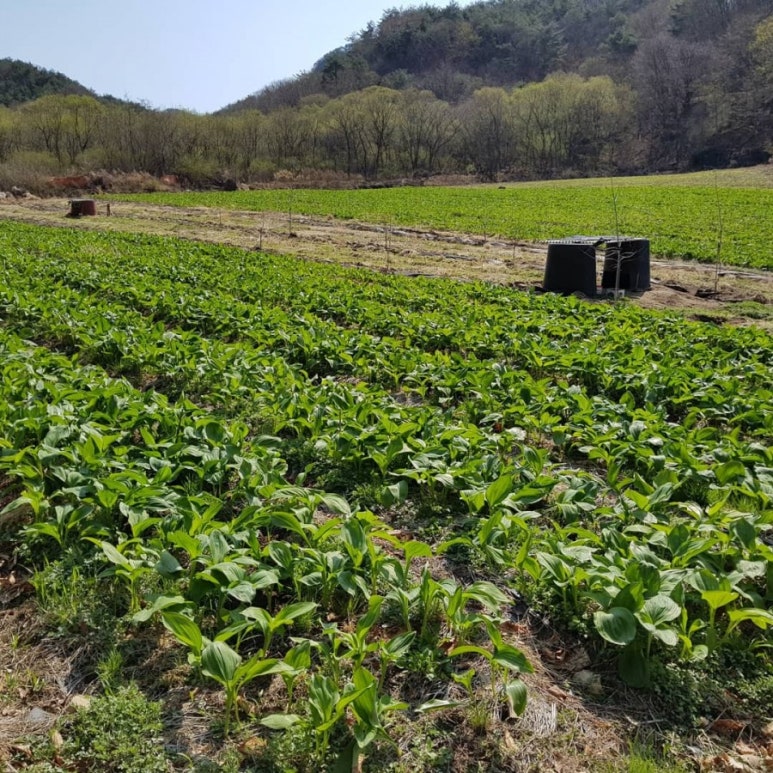 상문유통 이미지