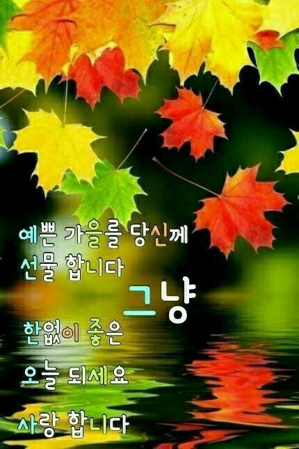 피카소노래방 이미지