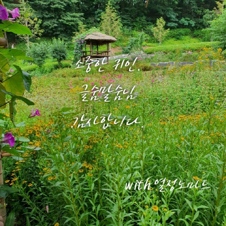 말숨 이미지