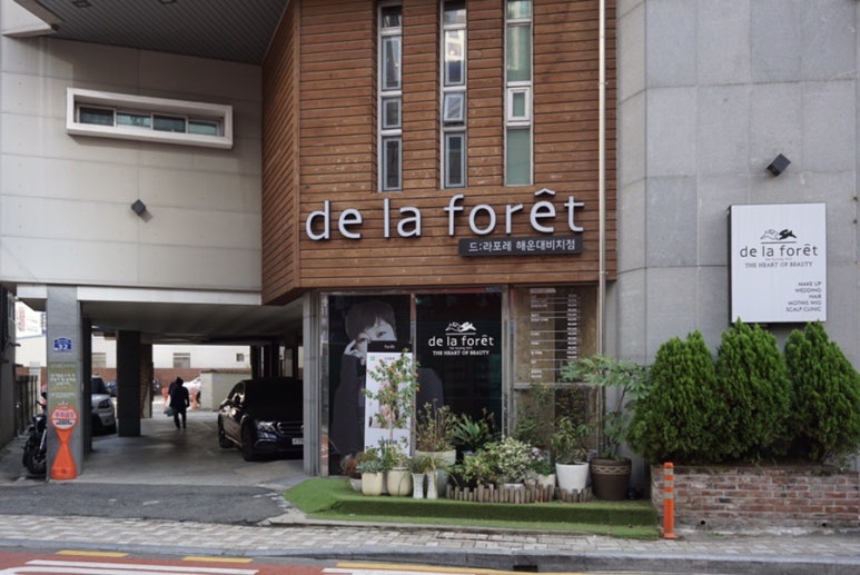 드라포레비치점 이미지