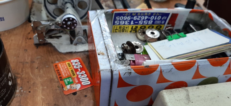 백합주단 이미지