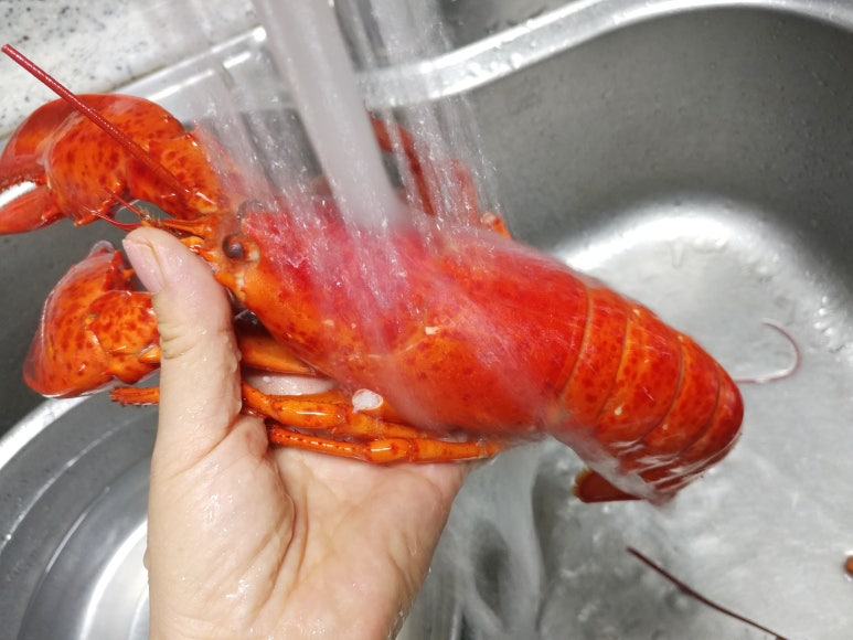 랍스타치즈구이 이미지