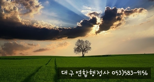 행정사김덕수 이미지