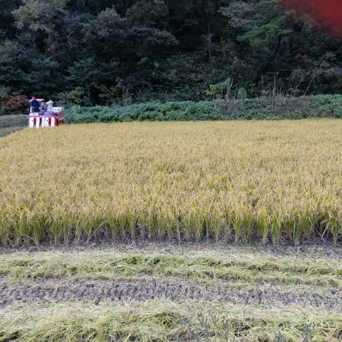 정은농장 이미지