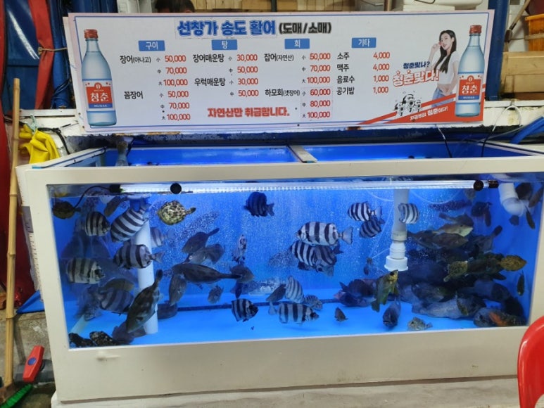 송도활어집 이미지