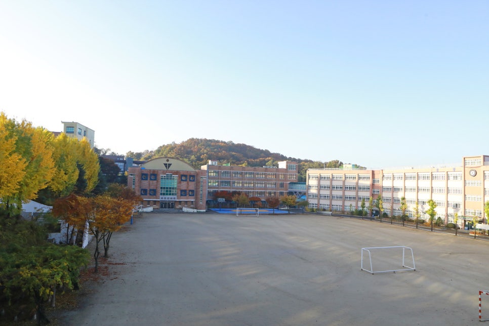 학교법인동광학원 이미지