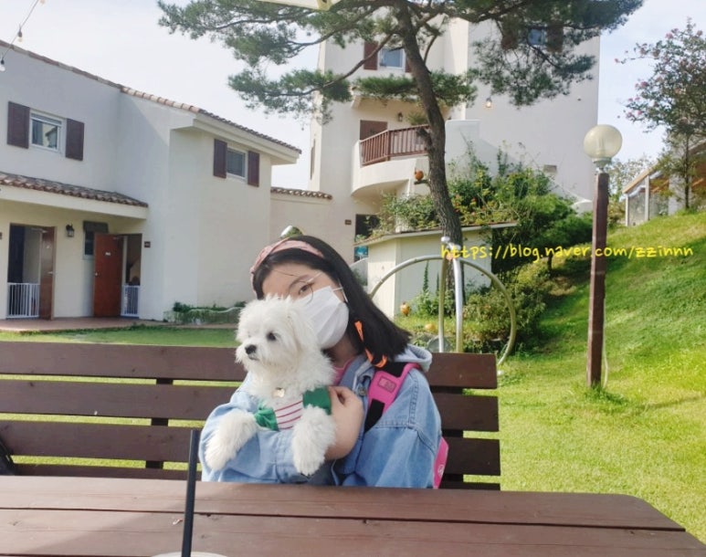 로만티카카페 이미지