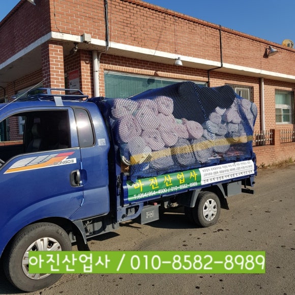 의성마대 이미지