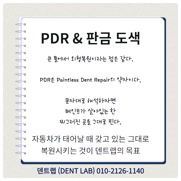 덴트핀다 이미지
