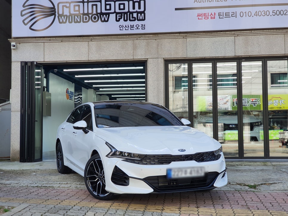 틴트리 이미지