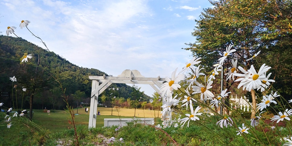 상당산성자연휴양림 이미지