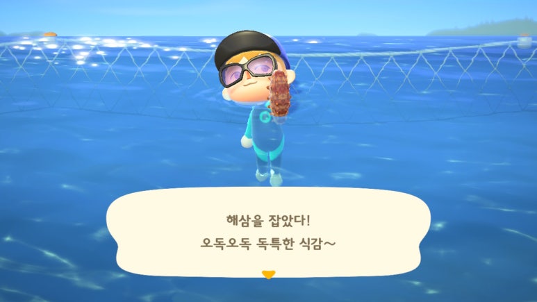 바다복어 이미지