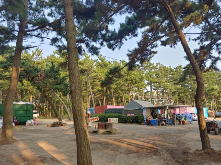 몽산포힐링캠핑장 이미지