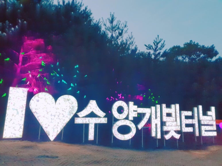 오성만두2 이미지