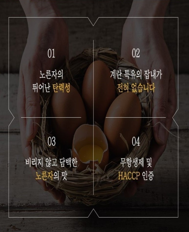 네이처킹덤 이미지