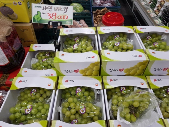 총각네수지 이미지