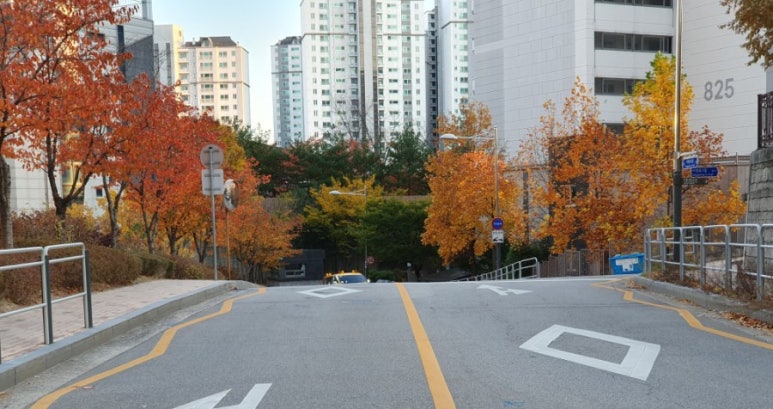 만해보리굴비 이미지