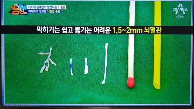 징코바이오 이미지